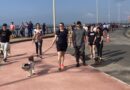 Navegantes realiza evento com cãominhada, blitz educativa e ações do Maio Amarelo no dia 24 de maio