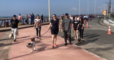Navegantes realiza evento com cãominhada, blitz educativa e ações do Maio Amarelo no dia 24 de maio