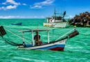 Temporada de pesca do camarão em Navegantes começa e movimenta economia local