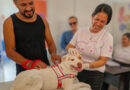 Navegantes realiza vacinação gratuita para cães e gatos em mutirão nos dias 19 e 20 de maio