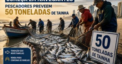 Safra da tainha começa em Navegantes com aumento na cota e expectativa de grande temporada