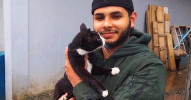 Gata desaparecida há um mês reencontra família em Navegantes graças a microchip