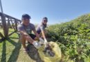 Mutirão ambiental mobiliza voluntários neste sábado em Navegantes